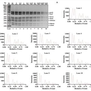 Validation Of The Sensitivity Of Multiplex PCR Assay A Gel Image