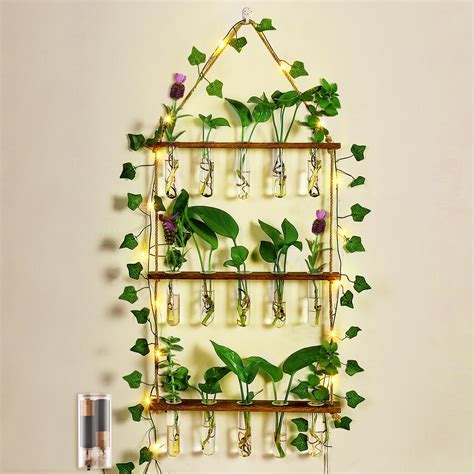 Buy Enhon Propagation Station Wall Hanging Terrarium With DIY Vine