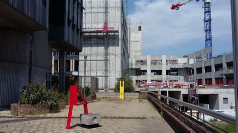 Le Jonc Des Crapauds Nature En Ville Cergy Pontoise