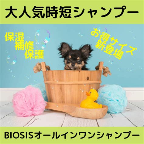 オールインワンシャンプー 1L BIOSISｼｬﾝﾌﾟｰ INOWEBショップ