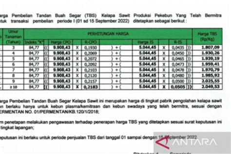 Harga Tbs Sawit Kaltim Naik Jadi Rp Per Kg Antara News