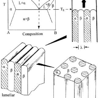 Eutectic phase diagram (left) and associated unidirectional eutectic ...