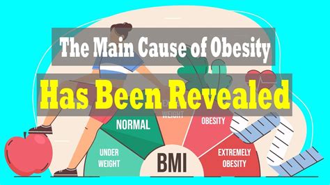 The Main Cause Of Obesity Has Been Revealed Dr Jason Fung Obesity