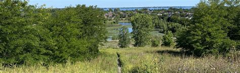 Blue Heron And Aspen Lake 12 Reviews Map Ontario Canada Alltrails