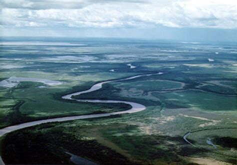 Wood Buffalo National Park Designated Worlds Largest Dark Sky Preserve