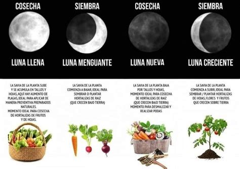 Pin En Luna Y Cosecha