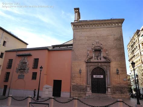 Iglesia Conventual De Las Carmelitas Descalzas De San Jos Granada