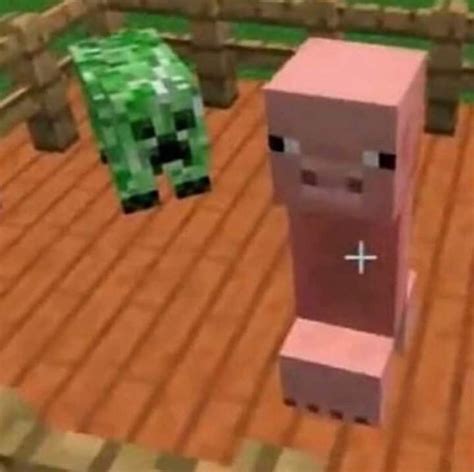 Pin by Grant Strader on minecraft cursed images | Minecraft memes ...