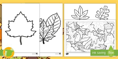 Hojas de otoño para decorar y colorear Lehrer gemacht