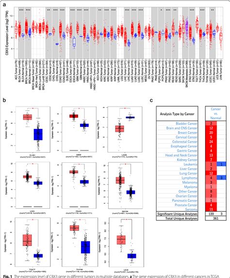 Figure 1 From Comprehensive Pan Cancer Analysis On Cbx3 As A Prognostic