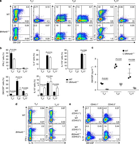 Th Cells Require Bhlhe For Normal Cytokine Production In Vitro Ad