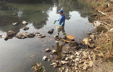 Limpeza Prefeitura Retira Toneladas De Lixo E Entulhos Das Margens Do