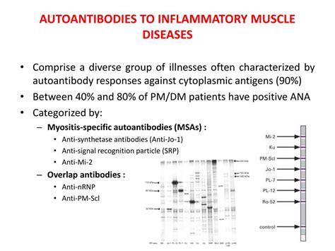 Ppt Laboratory Testing In The Rheumatic Diseases Part 2 Powerpoint Presentation Id 3080314