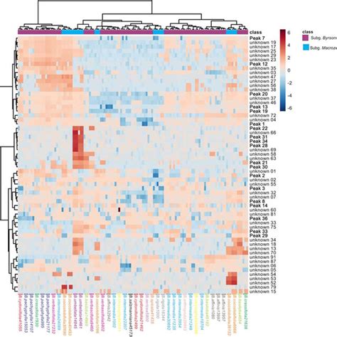 Heat Map And Hierarchical Clustering Of The Compounds Of Byrsonima The