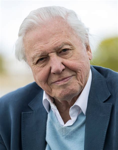 David Attenborough | Biography, Documentaries, A Life on Our Planet, TV ...