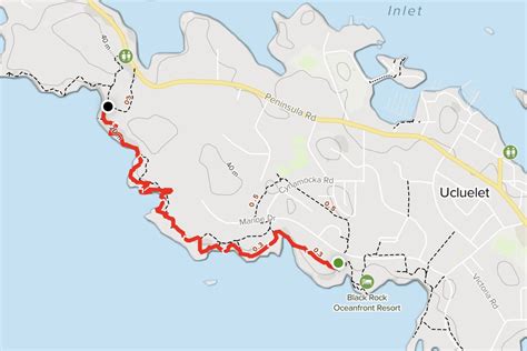 Wild Pacific Trail - Leisure Travel Vans