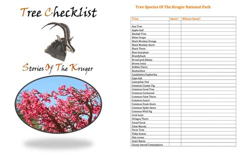 Kruger National Park Tree Checklist • Stories Of The Kruger