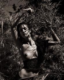 Diana Dondoe Nude Celebrities Forum Famousboard
