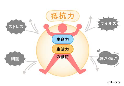 「抵抗力」をつけるための生活習慣とは？｜がんばるあなたに。疲れの情報局｜アリナミン