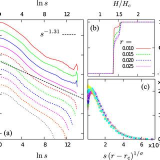 A Avalanche Size Distributions D S During Magnetization Reversal In