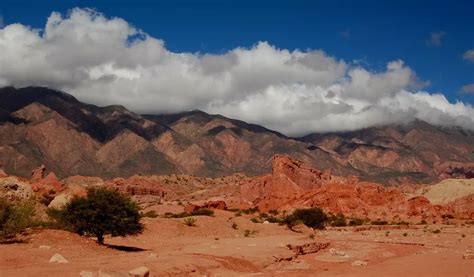 Salta Plataforma 10 Argentina