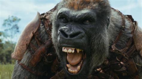 Kingdom Of The Planet Of The Apes Movie Review Unceasingly Grim Film