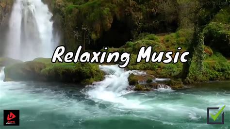 Relaxing Music For Stress Relief Nature Asmr Sleep Music