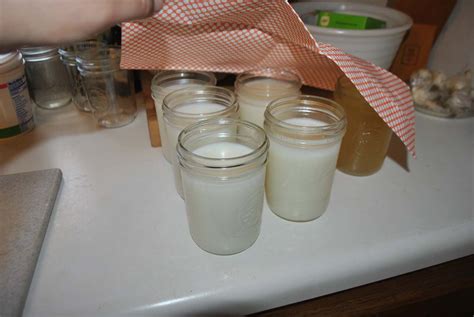 How To Render Your Own Lard Or Make Your Own Tallow