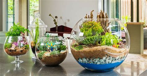 Ideas Para Hacer Mini Jardines En Macetas Rotas