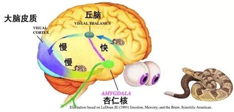 应激的心理反应有哪些？ 微医（挂号网）