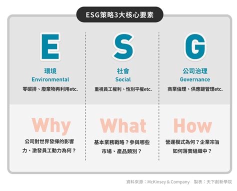 4步驟建立esg行動架構 單元