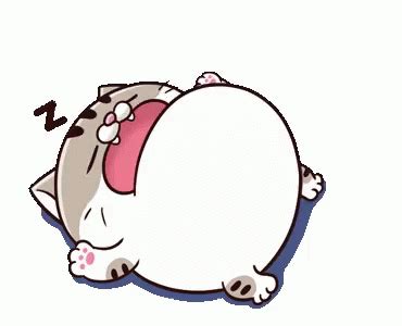 Ami Fat Cat Sticker Ami Fat Cat Sleeping Discover Share GIFs