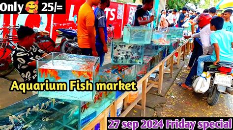 Aquarium Price In Bangladesh Aquarium Fish Price In Bd 2024