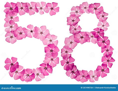 Numeral 58 Cincuenta Y Ocho De Flores Rosadas Naturales De Periwinkle