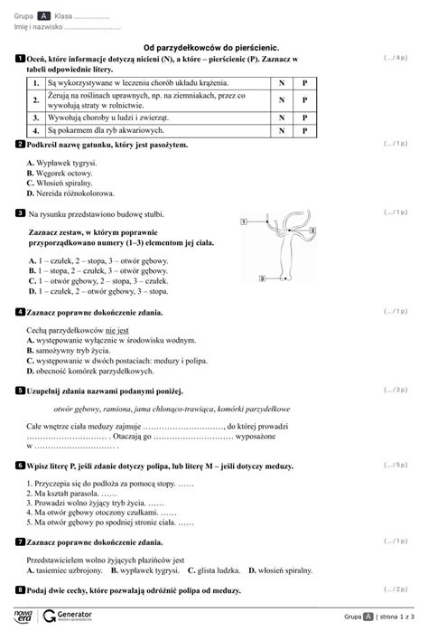 Od parzydełkowców do pierścienic worksheet in 2023 Study motivation