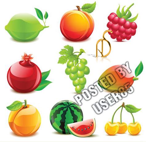 فواكه كرتون فكتور Fruit Cardboard Victor Ahmad4dfree Vectors