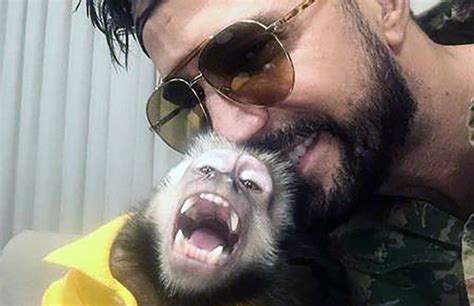 Morre Atropelado Twelves Macaco De Latino Dia Mais Infeliz Da Minha