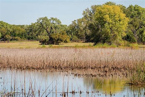 Puterbaugh Marsh At Salt Plains National Wildlife Refuge By Debra Martz Landscape