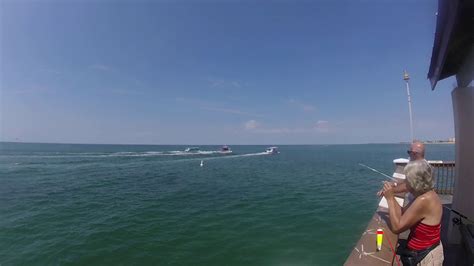 Dolphins Chasing After A Few Boats At The End Of Pier 60 At Clearwater