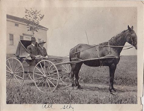 Old Vintage Photograph Horse Pulling Man And Woman In Buggy Cart Wagon