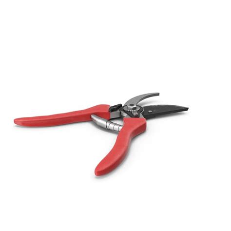 Pruning Shears – Gardening