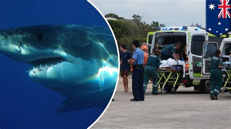 Attaque de requin une jeune surfeuse meurt après avoir été attaqué