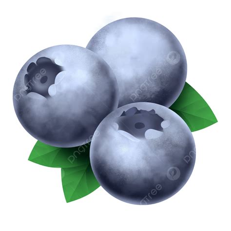 High Quality Clipart Hd Png High Quality Blueberries Clipart High