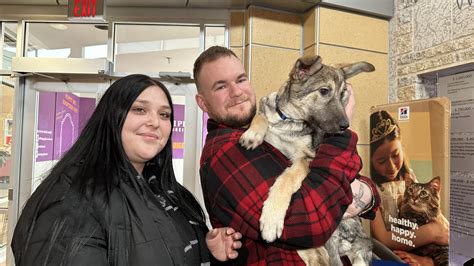 Winnipeg Humane Societys ‘puppy Party Adoption Day Citynews Winnipeg