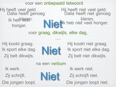 Negatie Gebruik Van Niet Nederlandse Taal Taal Onderwijs