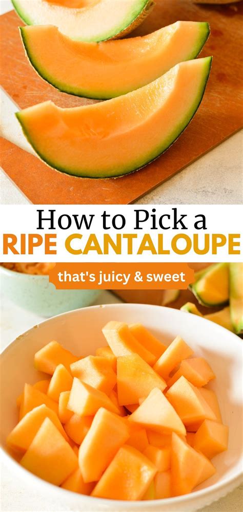 How To Pick A Ripe Cantaloupe In 2023 Cantaloupe Recipes Cantaloupe