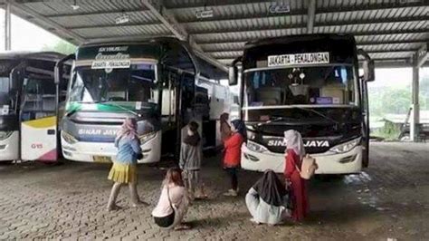 Mudik Gratis Pemkot Pekalongan Siapkan Bus Untuk Angkut Pemudik Dari