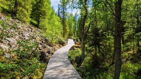 The Best Hikes in Finland: Where are They and What to Know in 2025