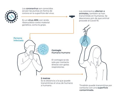 Mantener La Calma Ante La Contingencia Coronavirus