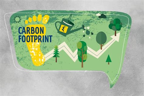 It Carbon Footprint Calcolo E Vantaggi Di Etica Azionario Etica